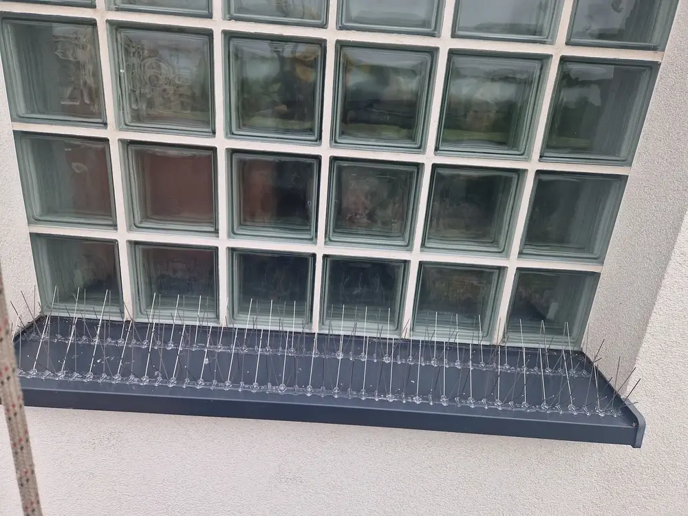 Zdjęcie realizacji usługi skyarc